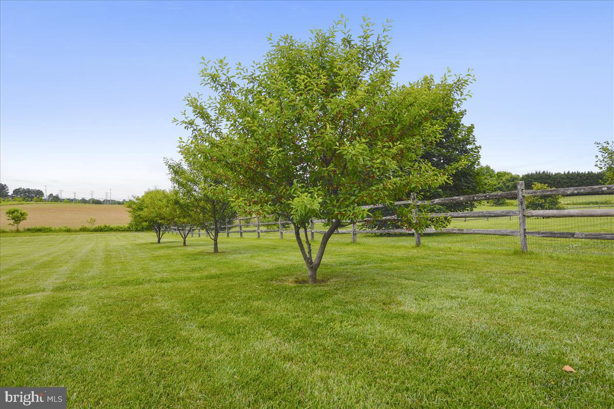 CENTENNIAL OAKS - Residential