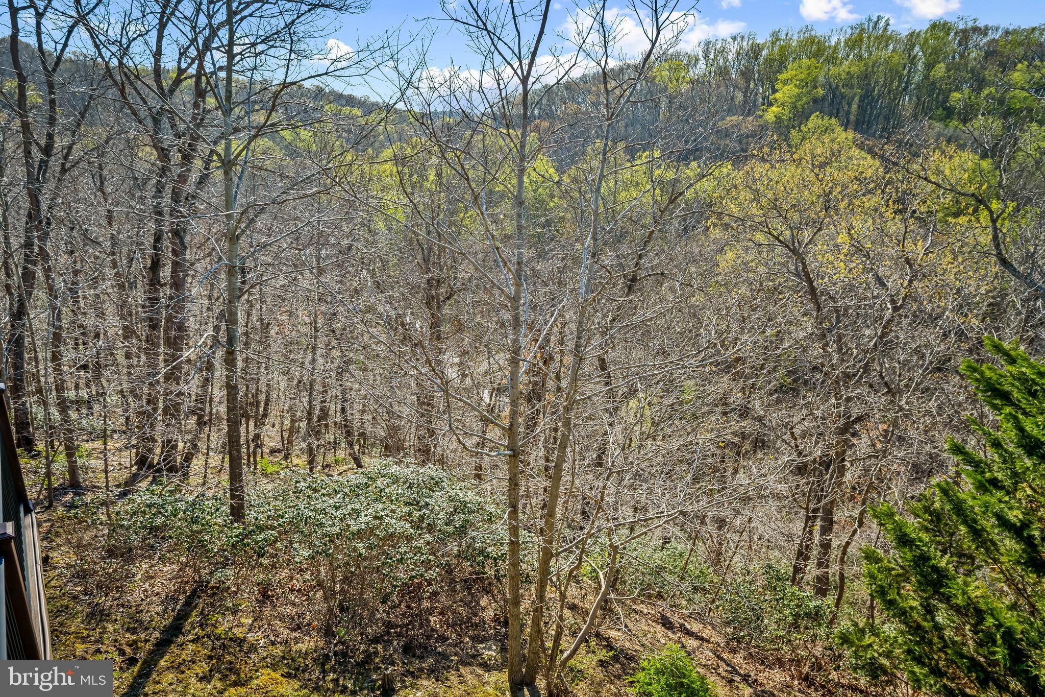 IVY HILL - Residential