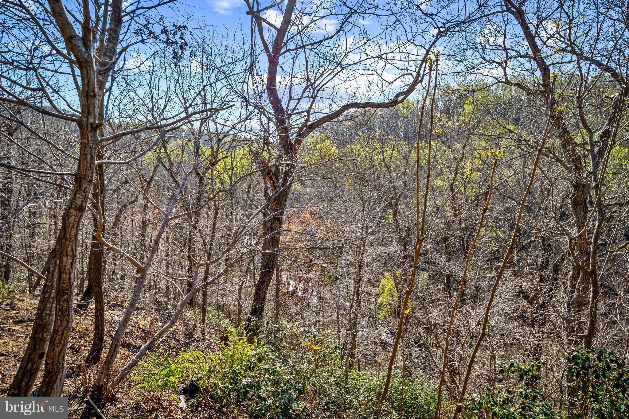 IVY HILL - Residential