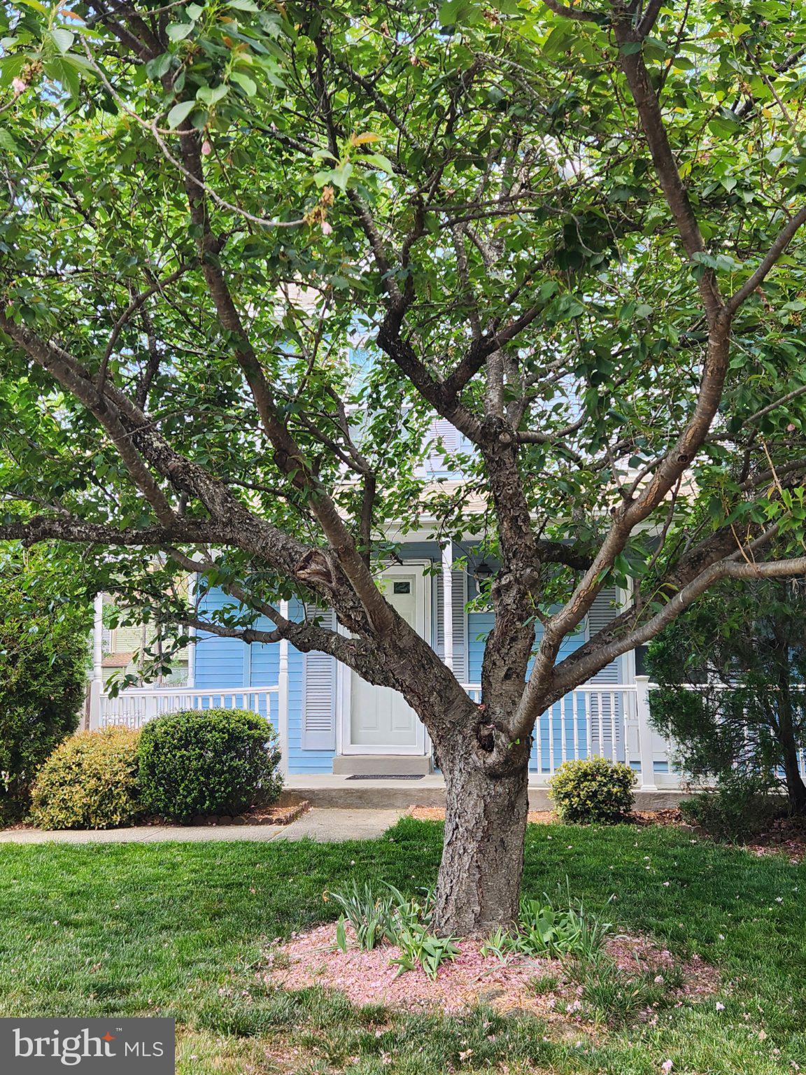 ST CHARLES LANCASTER - Residential