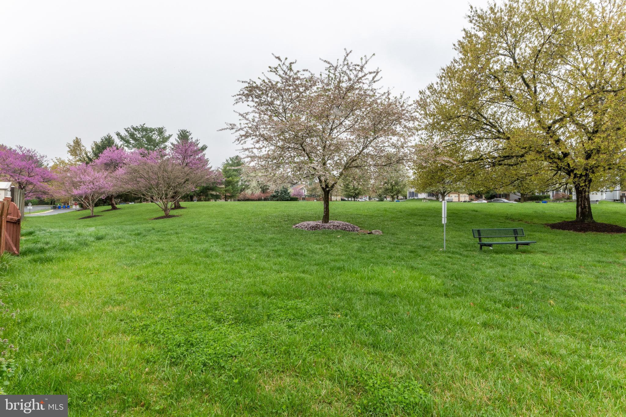 BALLENGER CREEK MEADOWS - Residential