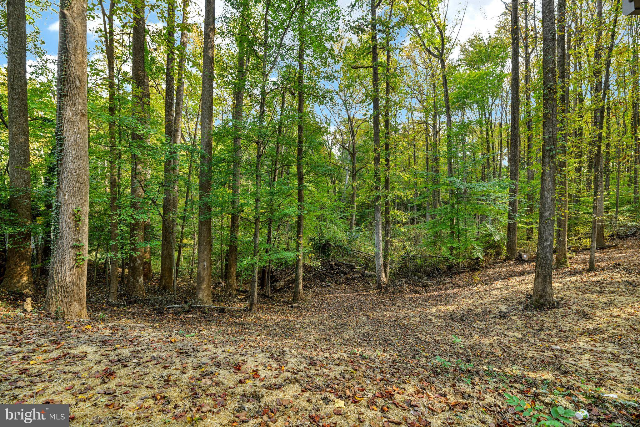 AUTUMN ESTATES - Residential