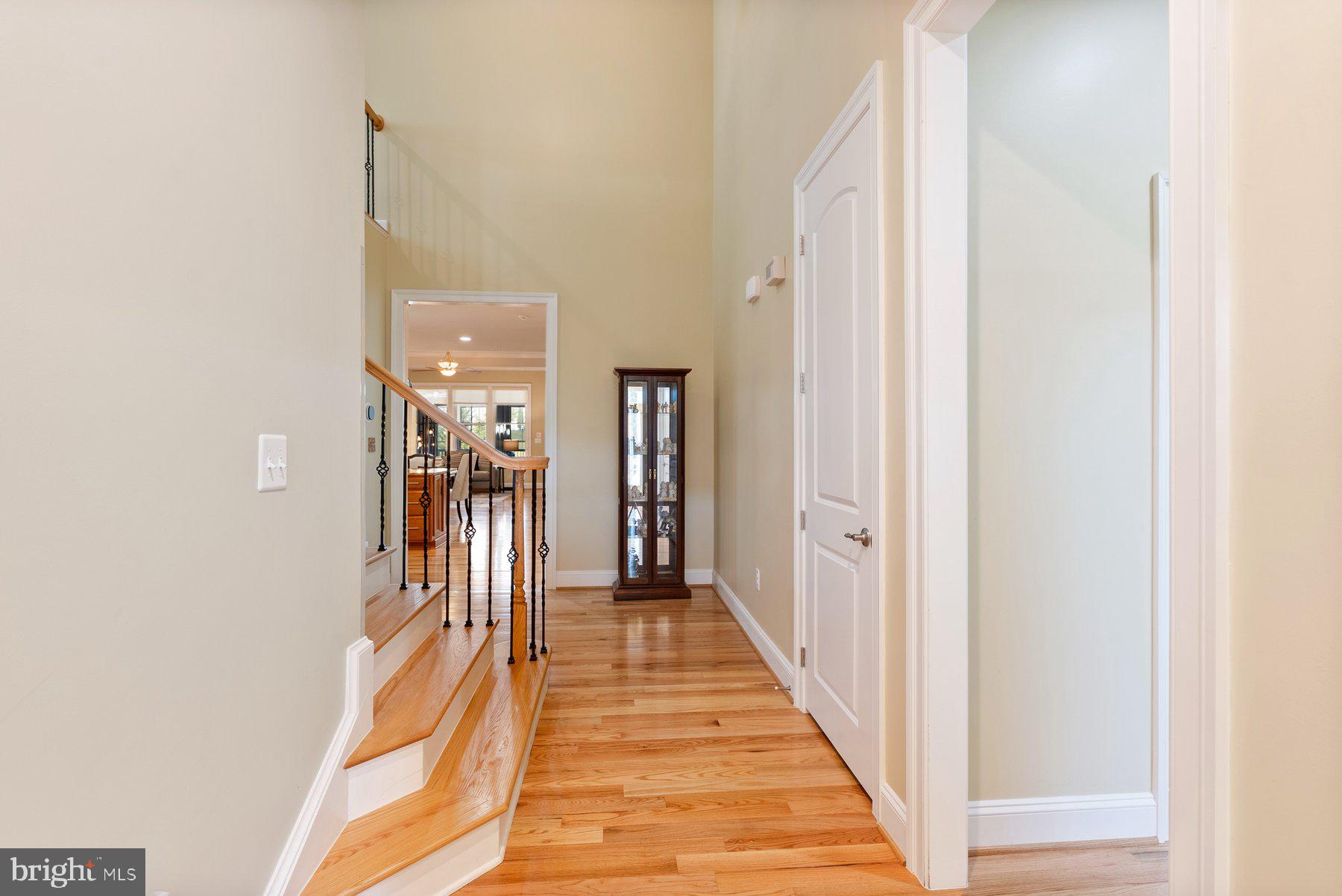 2973 LEVEE DRIVE