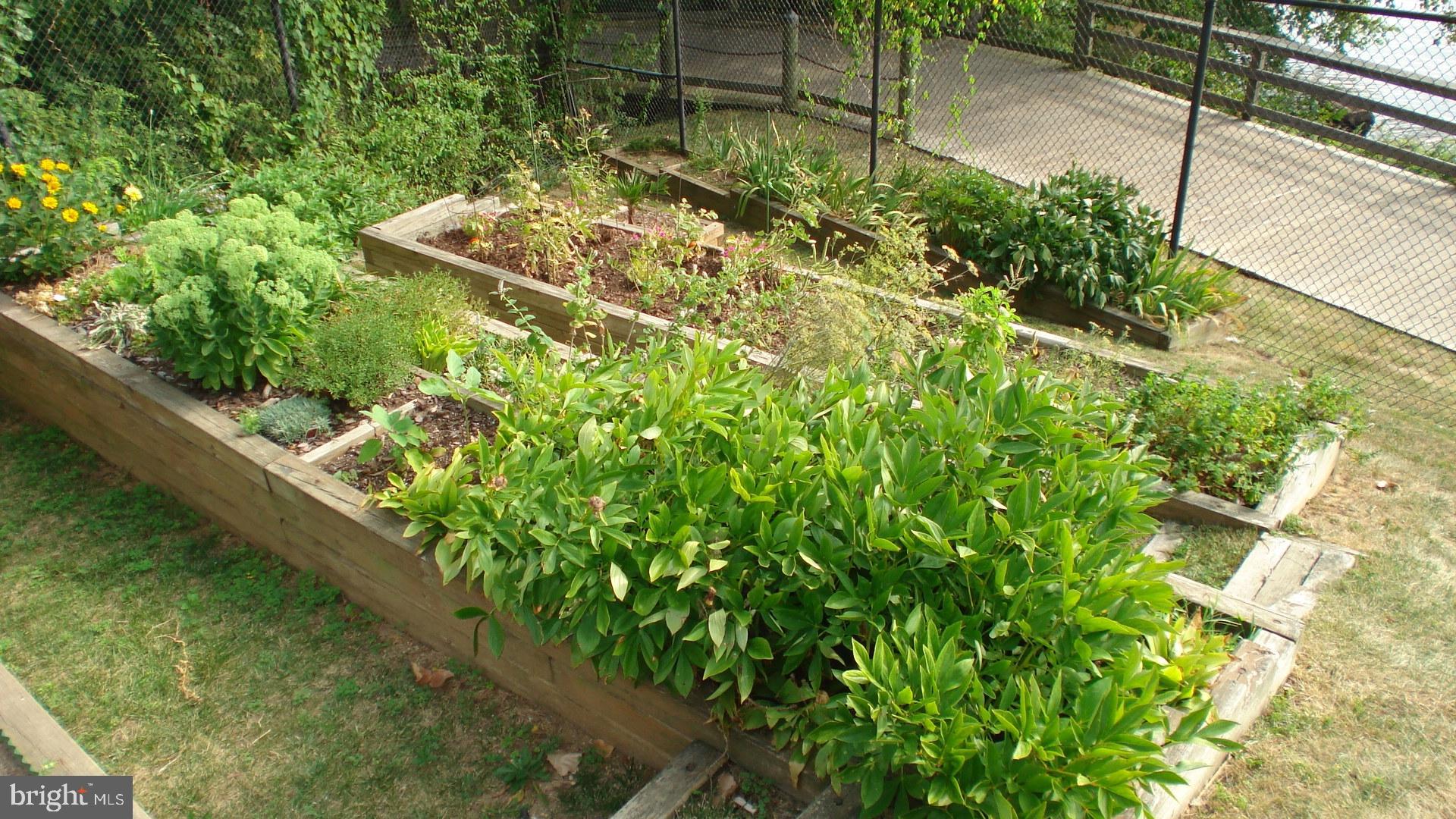 MARINA TOWERS - Residential