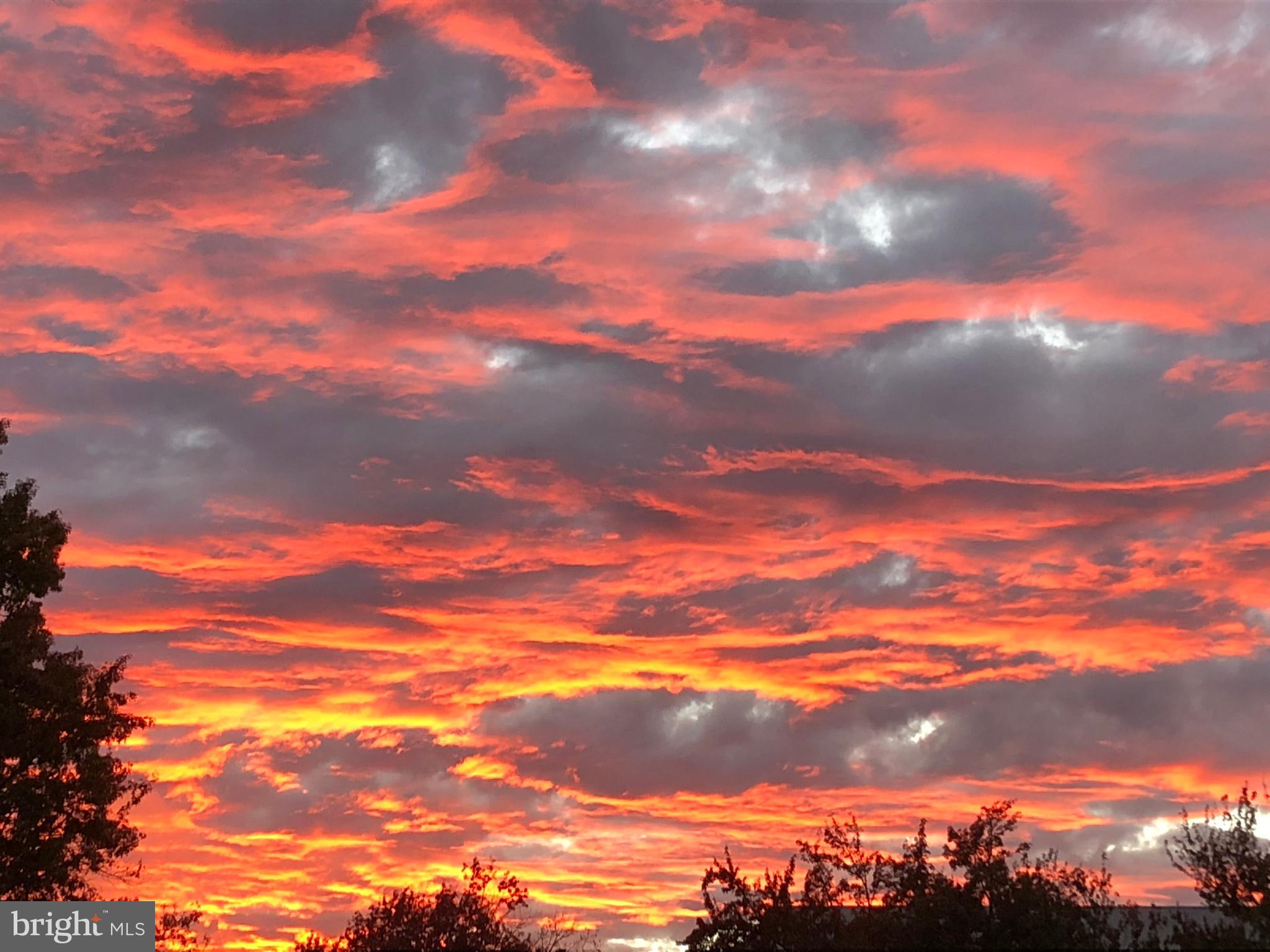 MARINA TOWERS - Residential