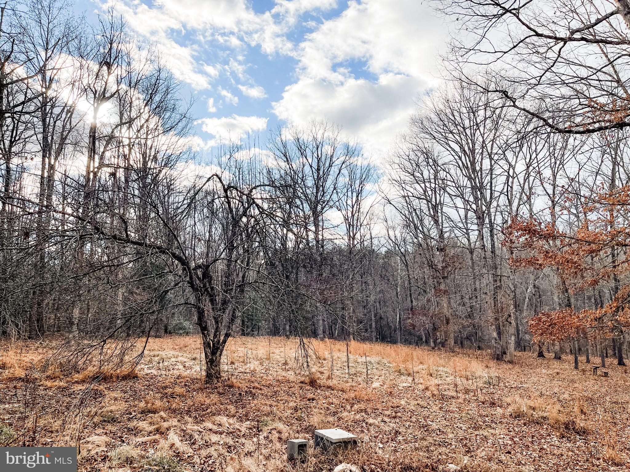 BLACK WALNUT RUN ESTATES - Residential