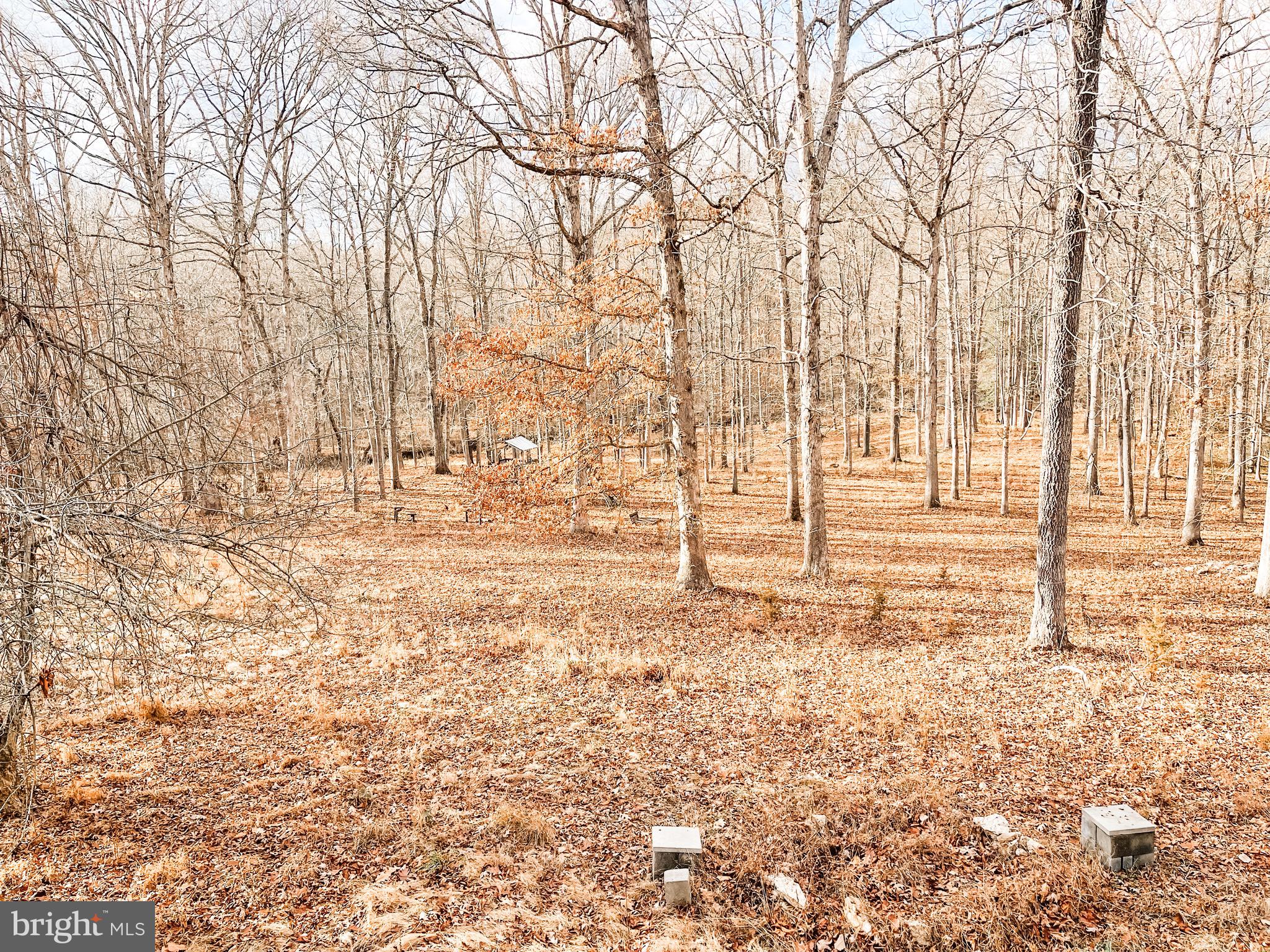 BLACK WALNUT RUN ESTATES - Residential