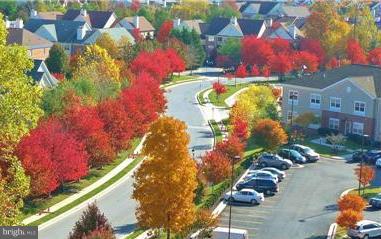 ROUNDWOOD RIDGE - Residential