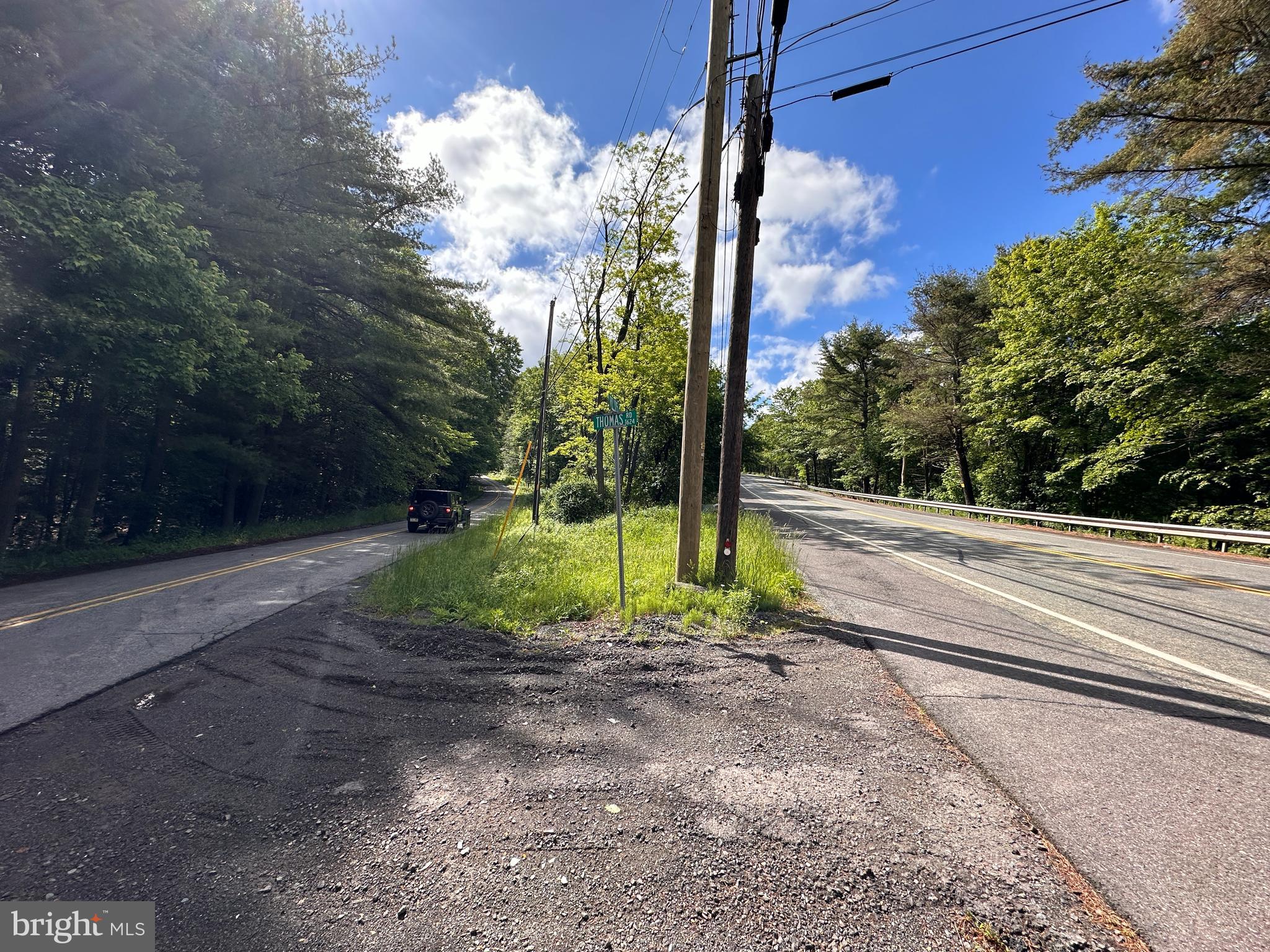 Vacant Land located in the heart of the Poconos Blakeslee PA this beautiful aged and new Trees are on this wooded parcel is actually 4 parcels being sold together estimated acreage is 1.2 according to the all 4 Tax Records. These lots are for the most part flat, with a slop towards the part that backs up to PA-115. You have your entrance to them on Thomas Rd. You will be amazed at the size of all of these lots together. Needs to pass a perc test and then you'll be ready to build that dream home in the Poconos. Owner is not doing a perc, owner will not sell lots individually.
