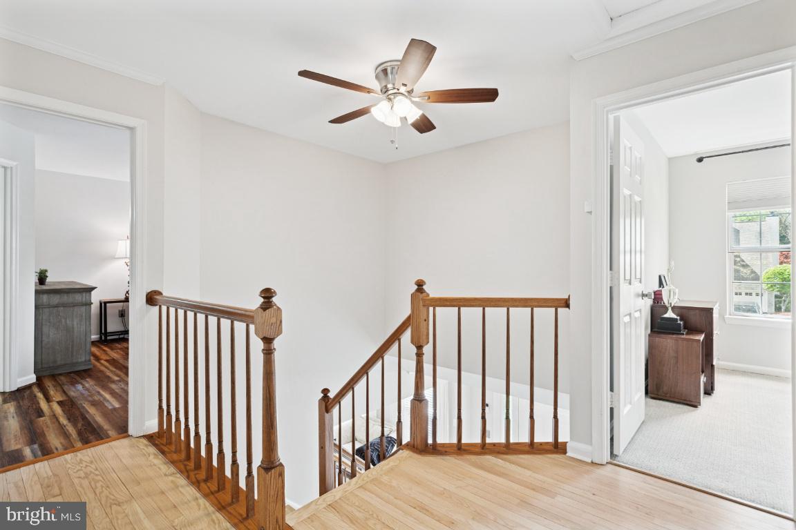 ASHTON DOWNS - Residential