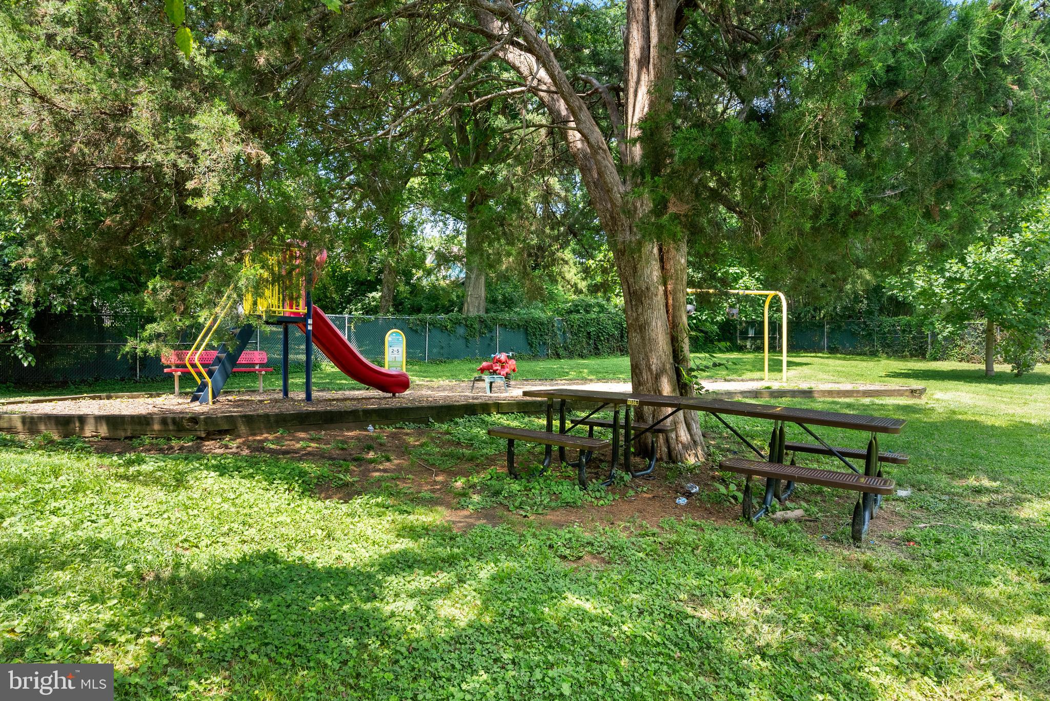 MT RAINIER - Residential