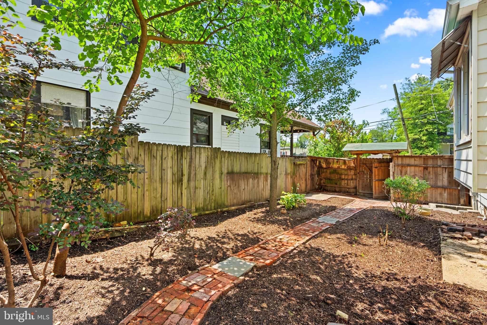 MT RAINIER - Residential