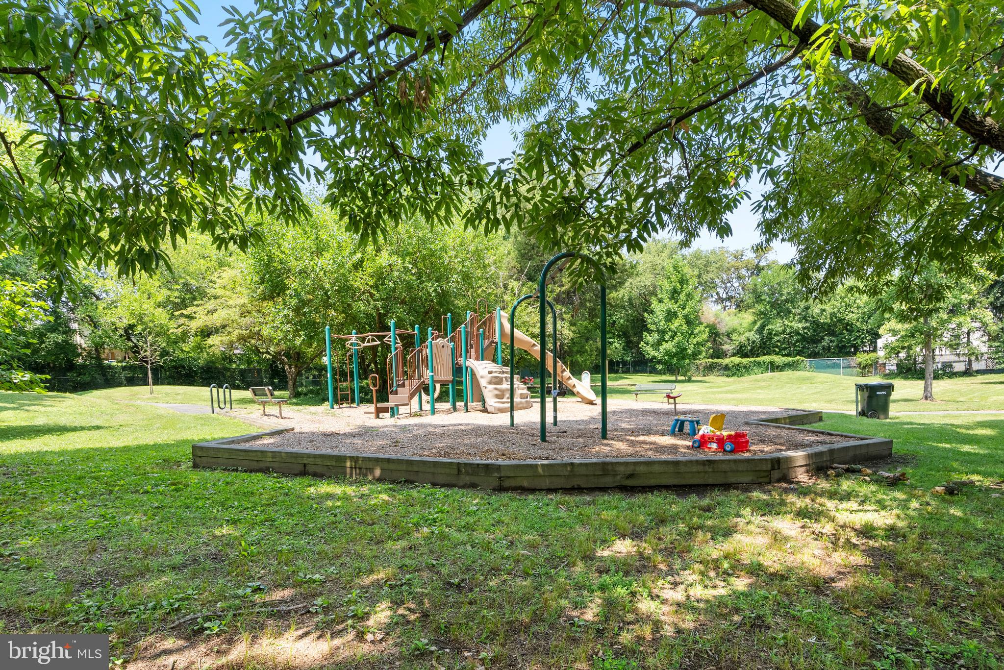 MT RAINIER - Residential