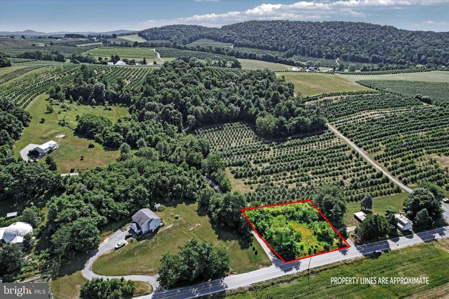 Discover a rare opportunity to own a half-acre parcel of land in the serene Apple Country of Menallen Township, Adams County. Located on Mount Tabor Road, this property offers a tranquil setting surrounded by beautiful countryside views. With ample space to build your dream home, this vacant land invites you to bring your own builder and create a personalized sanctuary. Imagine designing a residence that blends seamlessly with the natural beauty of the surroundings, providing a peaceful retreat while still convenient to local amenities. Whether you're envisioning a weekend getaway or a permanent residence, this parcel promises endless possibilities. Embrace the charm and tranquility of rural living while enjoying easy access to nearby attractions. Don't miss out on this chance to turn your vision into reality—schedule a visit to explore this idyllic piece of Adams County today!