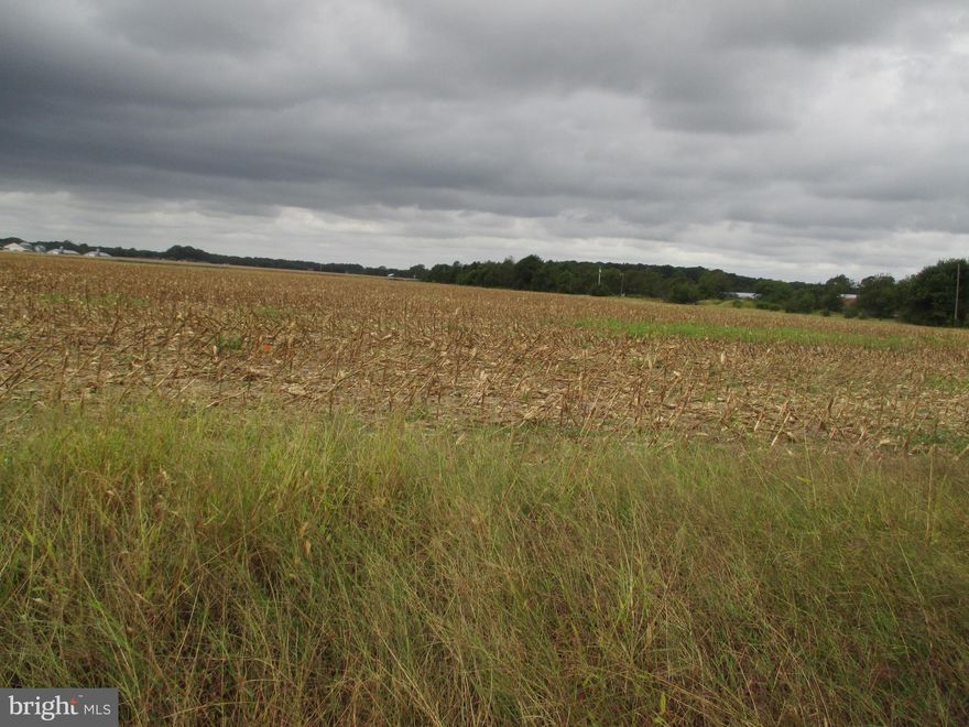 1.01 Acre lot on Gray Road approved for a gravity septic system short drive to the beach, State Parks, Community Shopping, Restaurants etc. Located in the Lord Baltimore School District. No doublewides permitted!