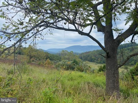 GOONEY MANOR LOOP BENTONVILLE VA 22610