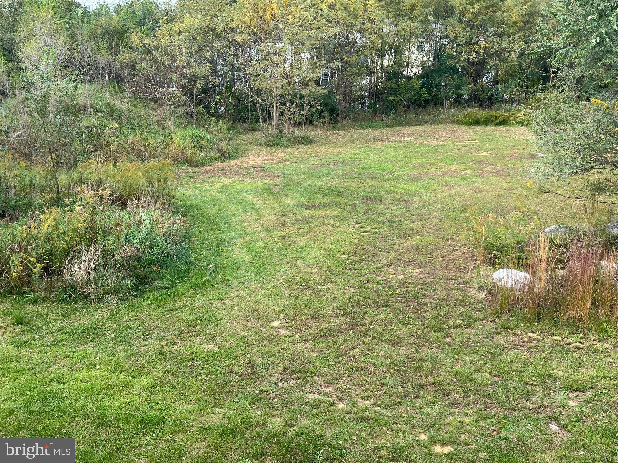 AMBER WOODS - Residential