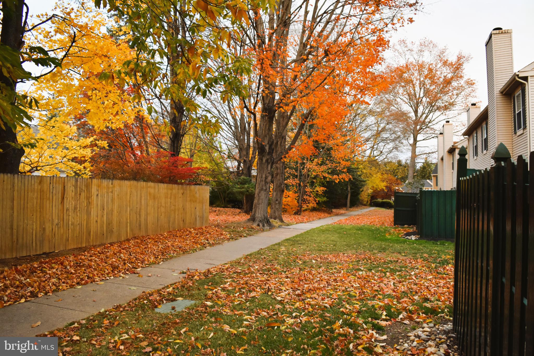 HEACOCK MDWS - Residential