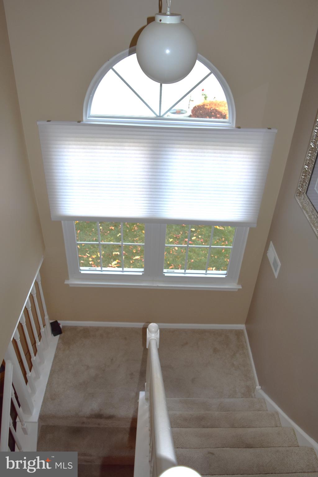 HEACOCK MDWS - Residential