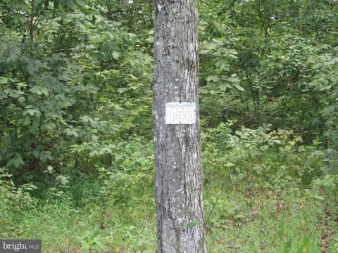 Vacant Land For Sale - Blue Sky Way<br/> BUMPASS, VA 23024