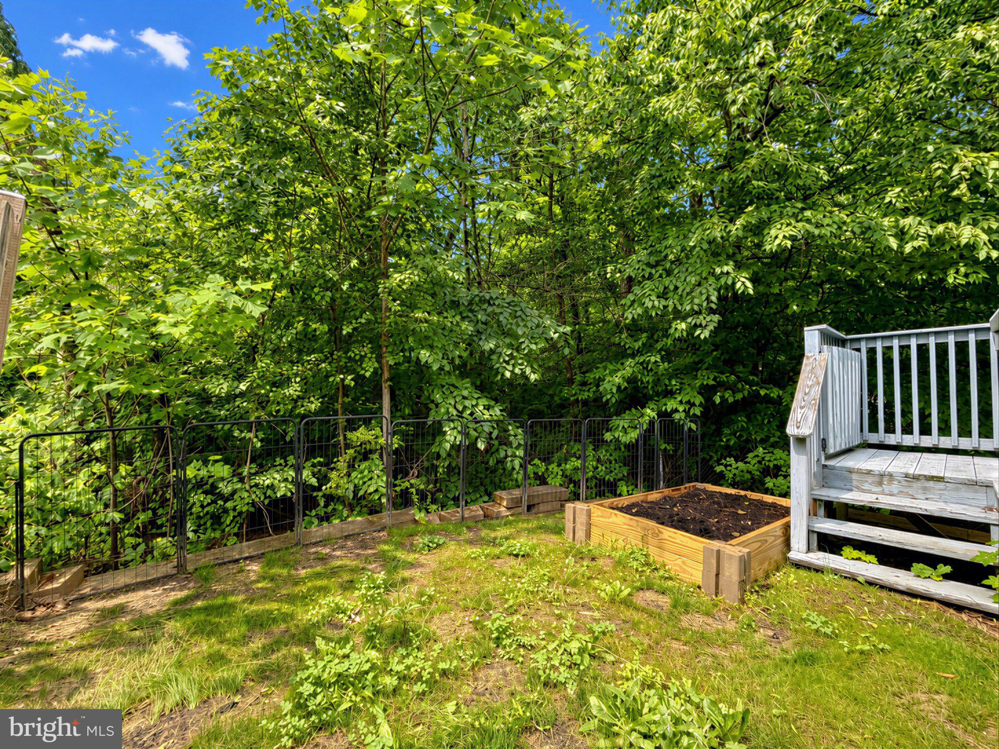HOLLAND FORREST LANDING - Residential
