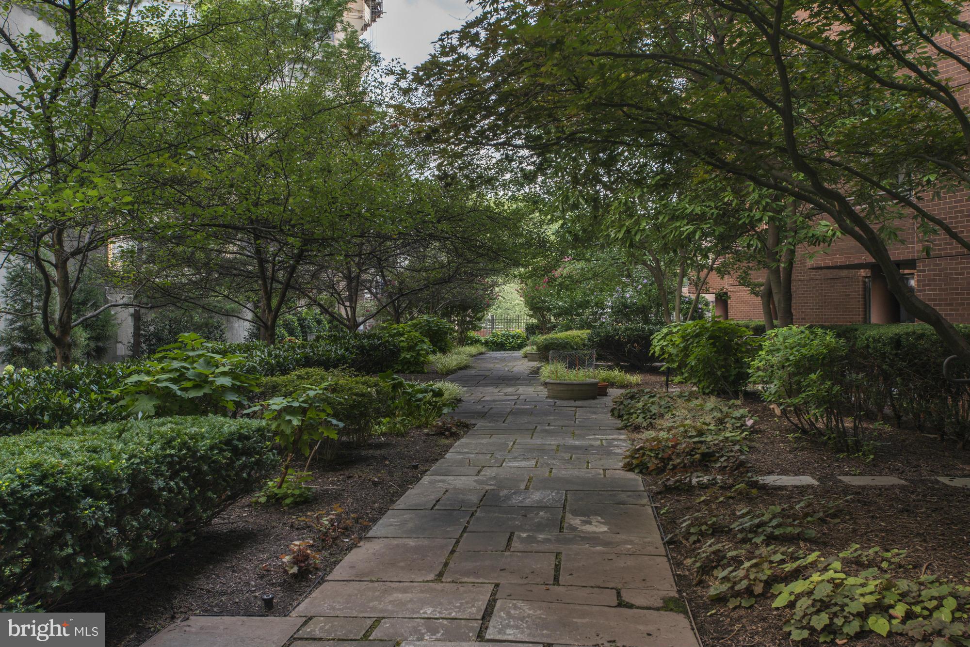 THE CARLETON OF CHEVY CHASE - Residential