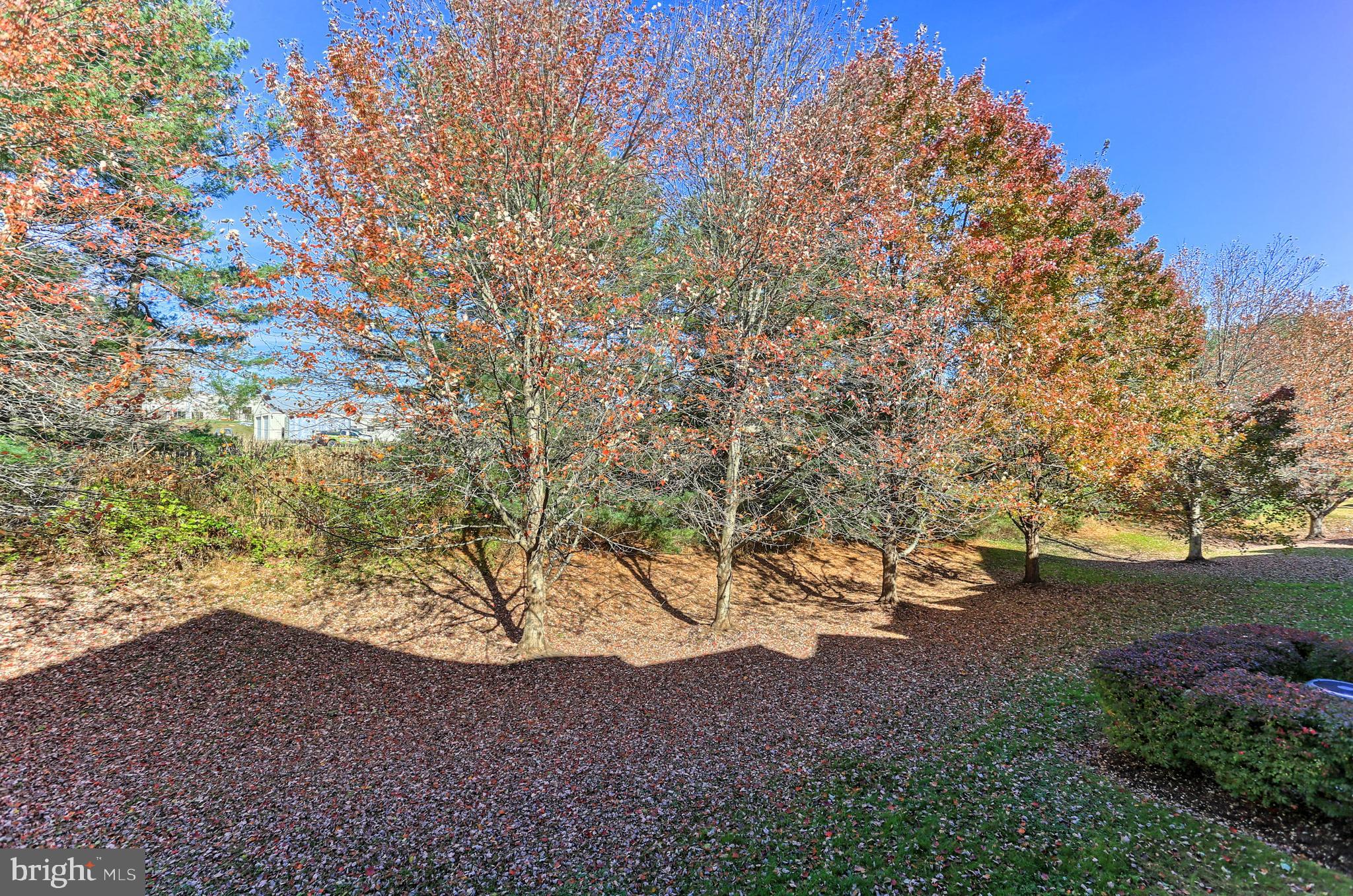 BRANDYWINE STATION - Residential