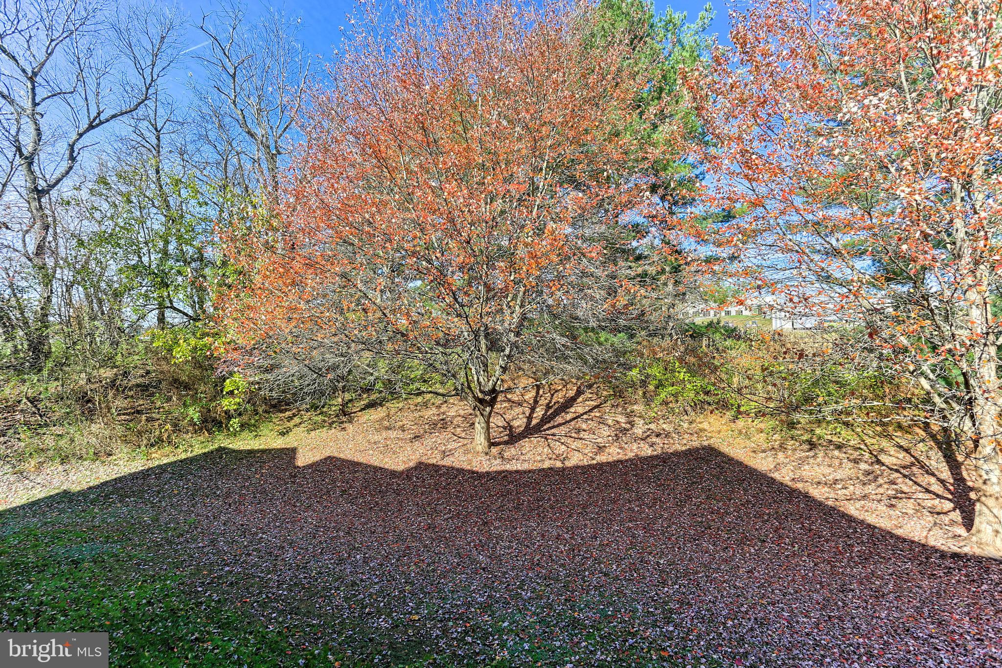 BRANDYWINE STATION - Residential