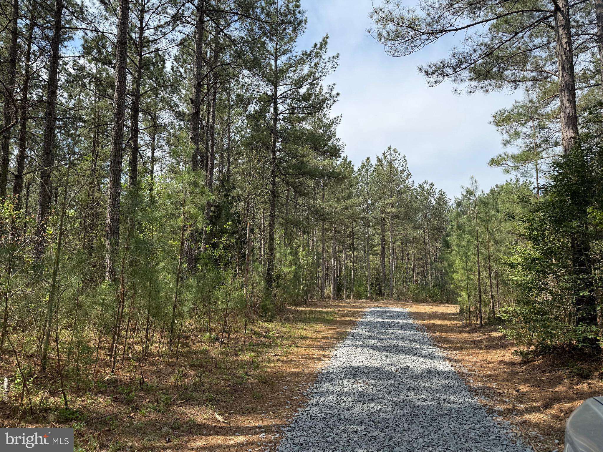 TBD 1 COVERED BRIDGE RD