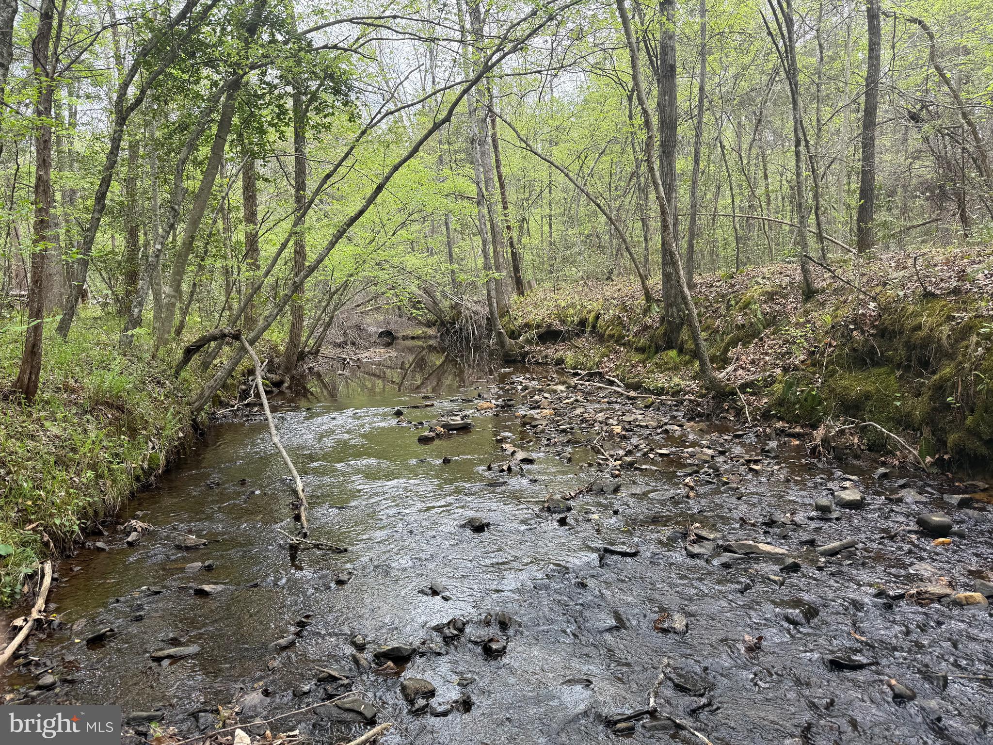 TBD 1 COVERED BRIDGE RD