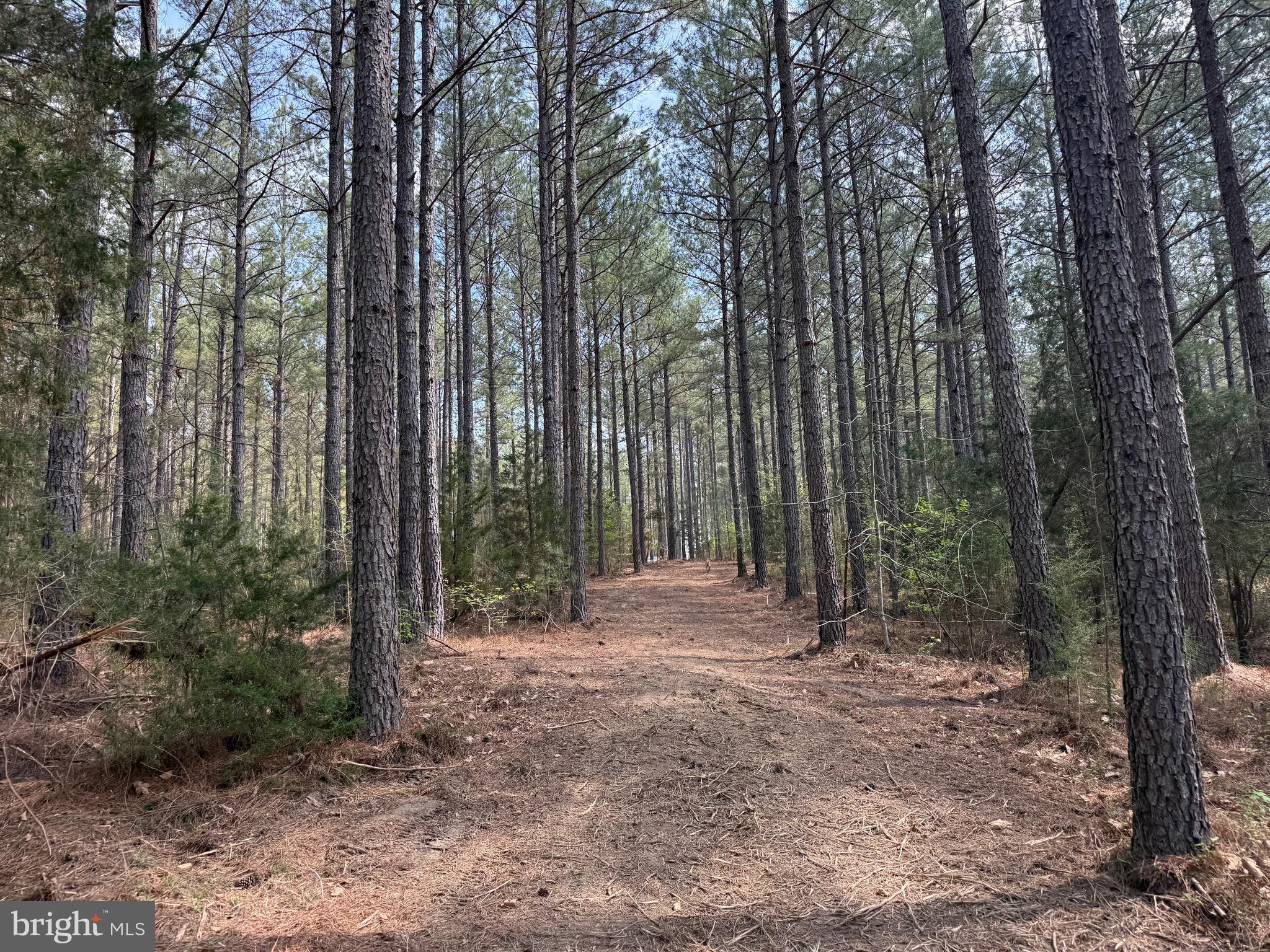 TBD 1 COVERED BRIDGE RD