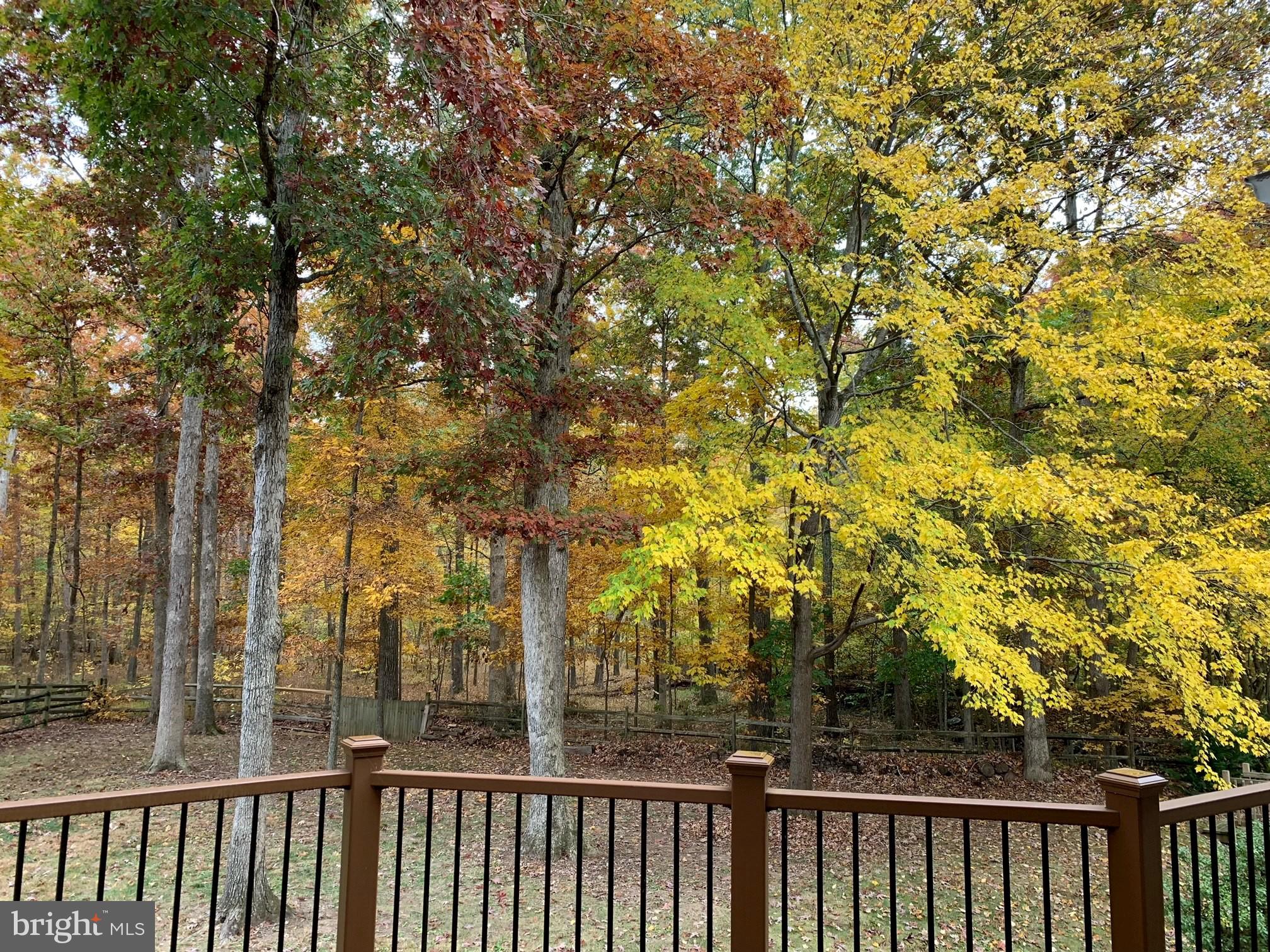 COUNTRY CLUB MANOR - Residential