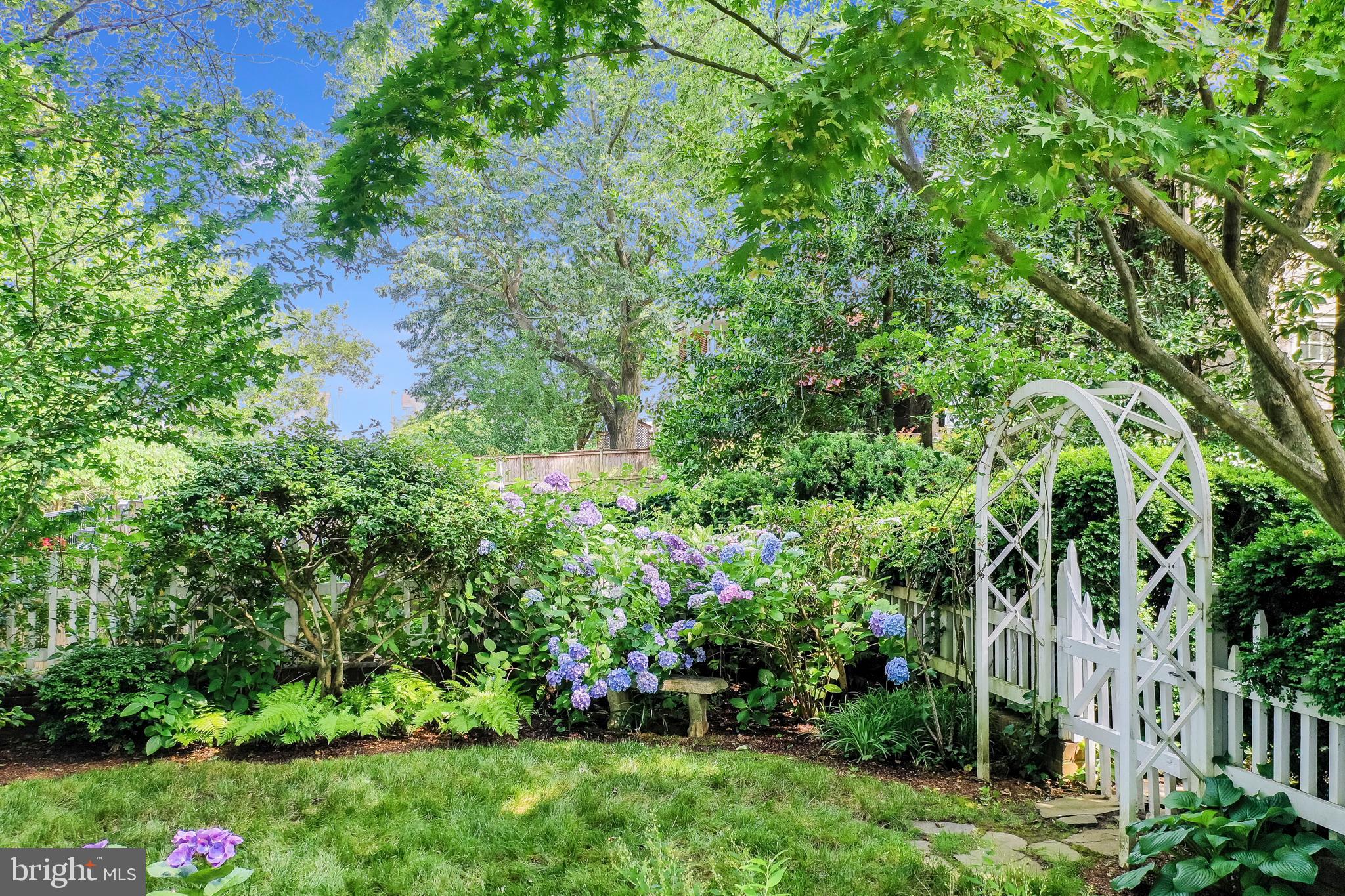 MURRAY HILL - Residential