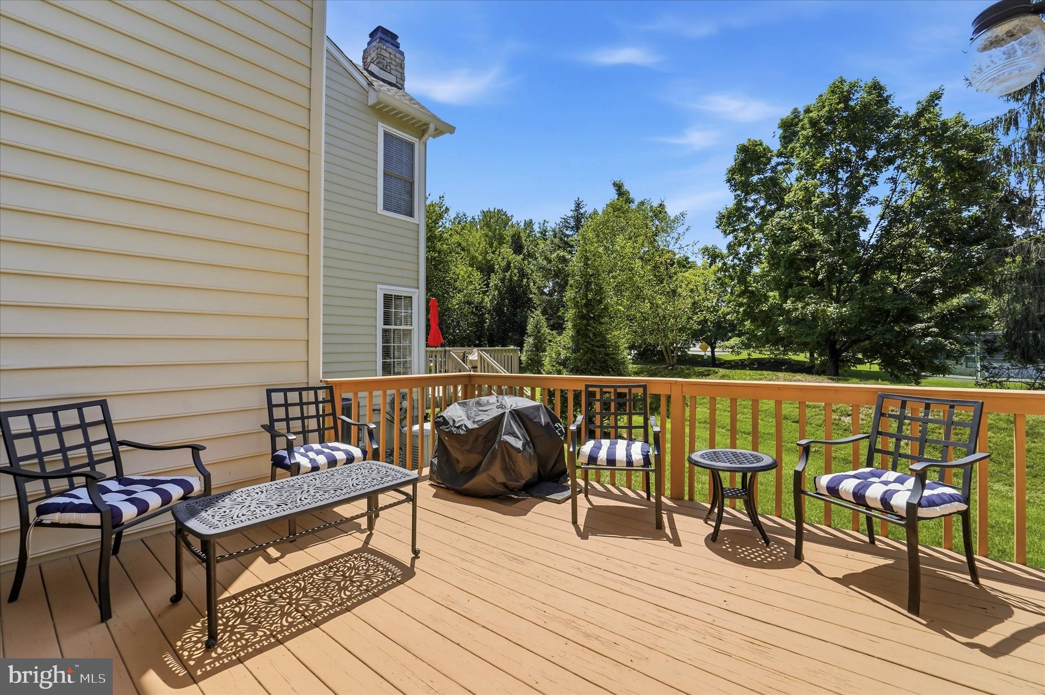 219 BIRKDALE DRIVE