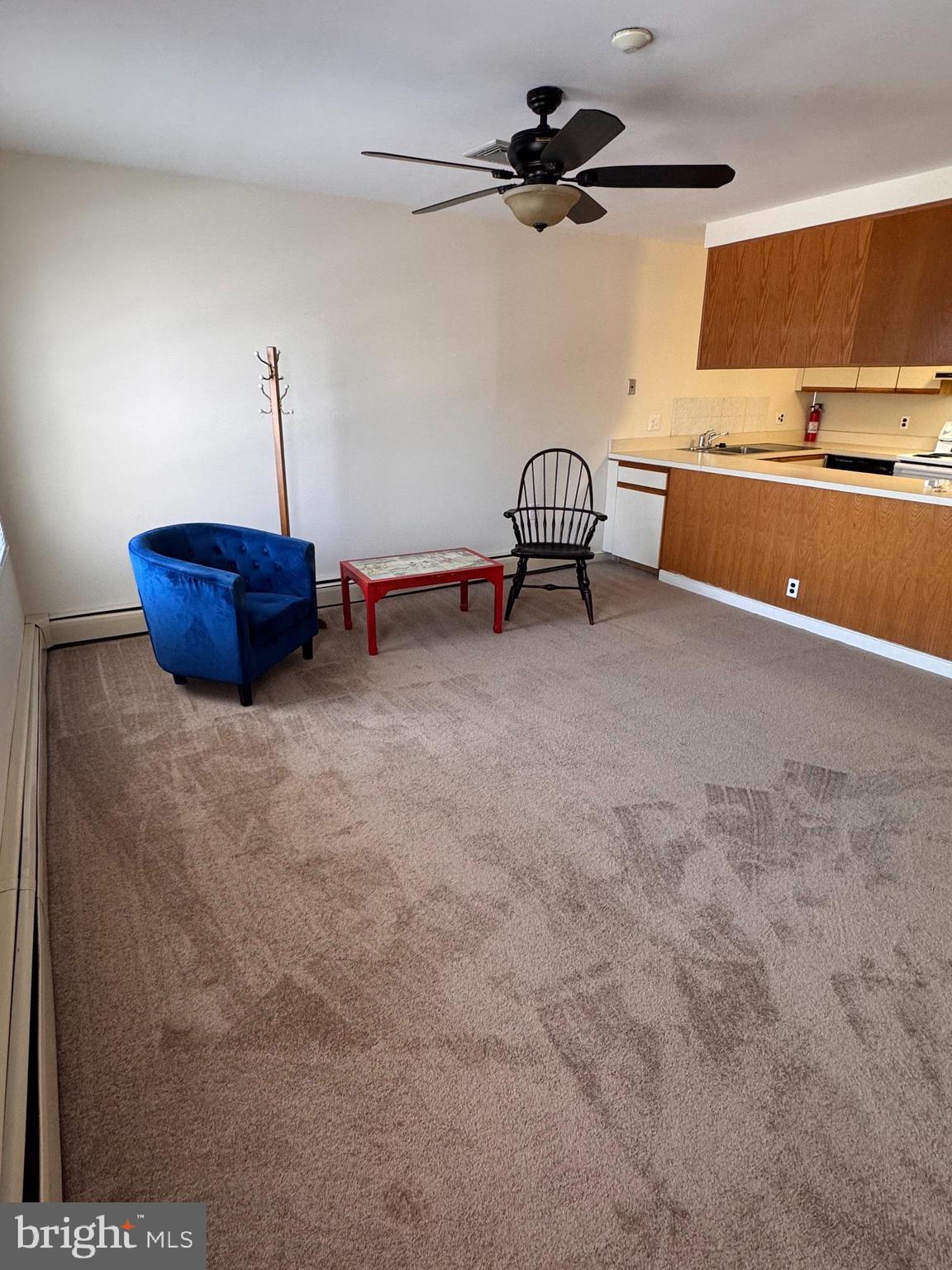 46 BUTTONWOOD STREET C