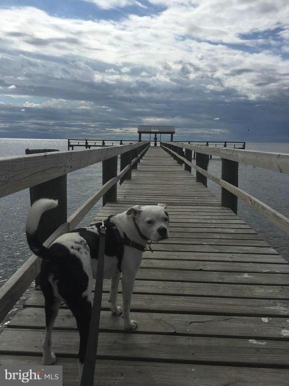 FRANKLIN MANOR BEACH - Residential Lease