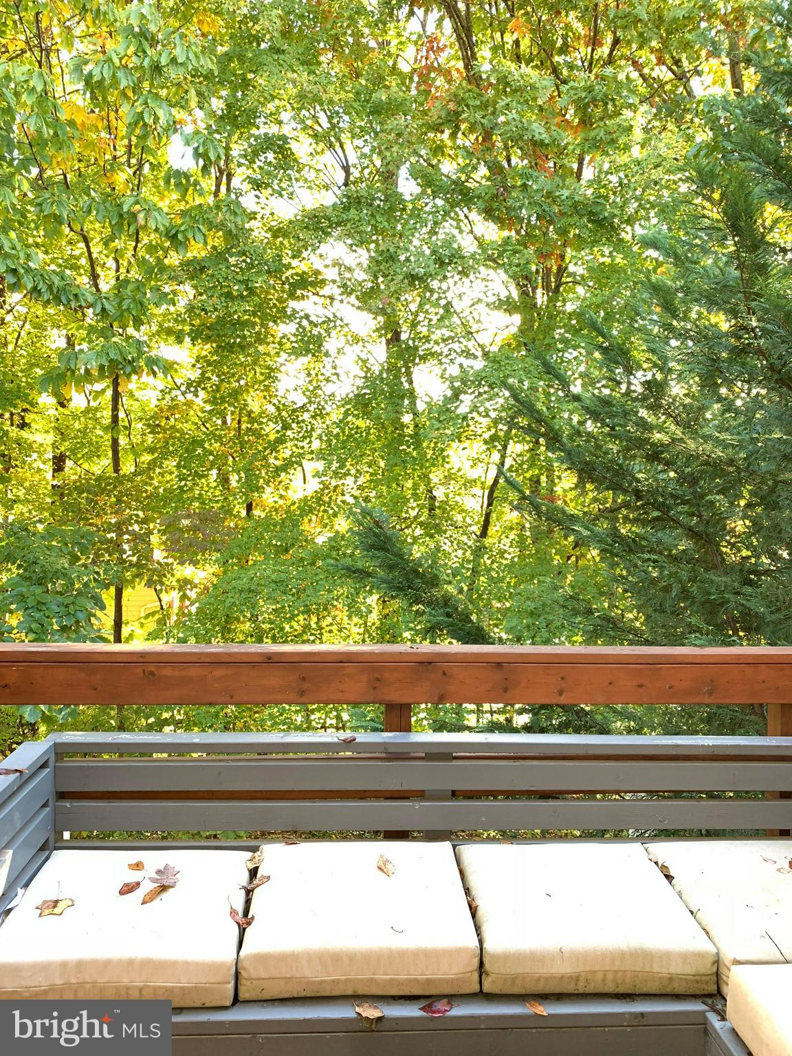 RESTON - Residential Lease