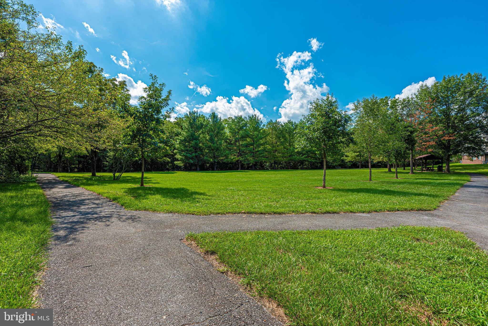 AVONDALE CONDOMINIUM - Residential