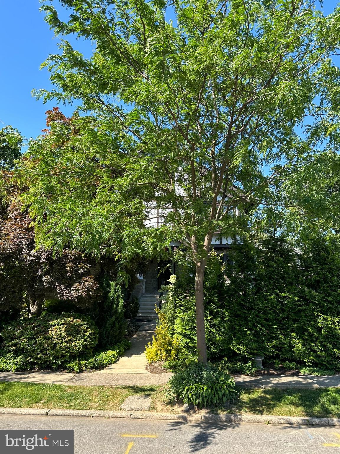 DREXEL HILL - Residential