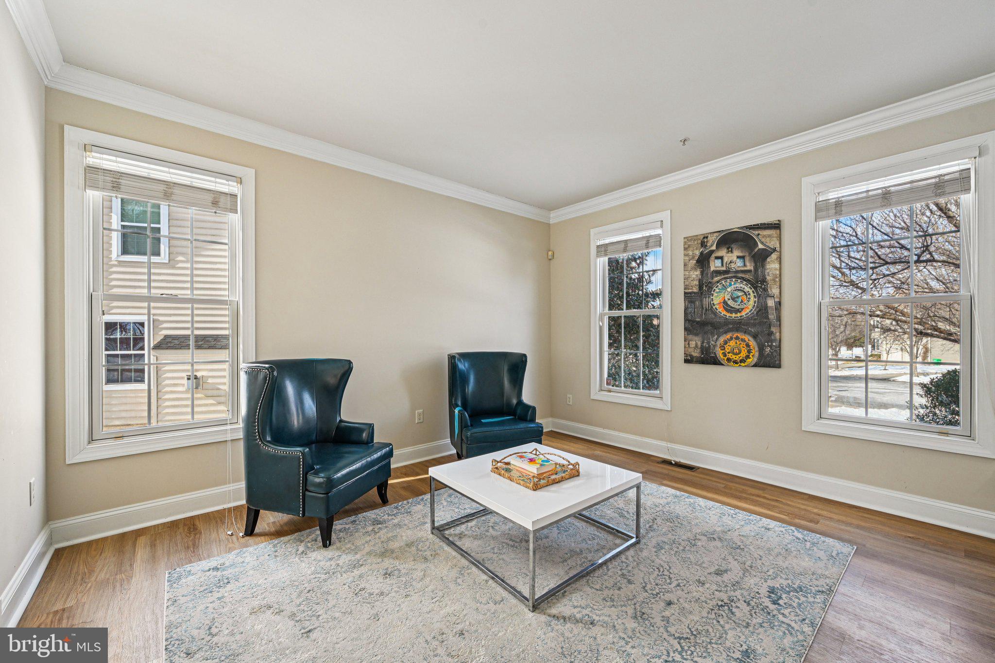 13207 ANTHEM GREENFIELDS DRIVE