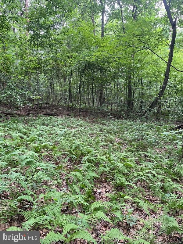 Lot 19 TILLAMOOK LANE