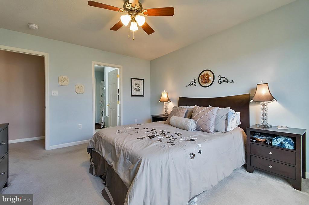 SPRING HILL - Residential