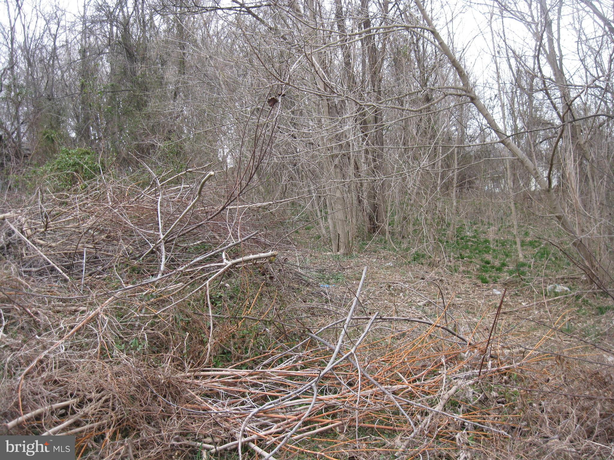 POTOMAC HILLS - Land