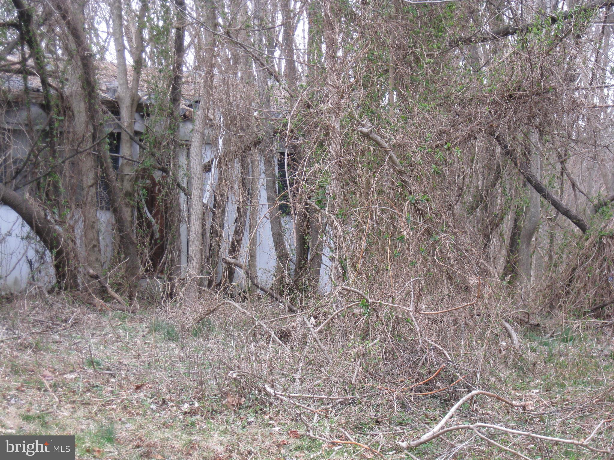 POTOMAC HILLS - Land