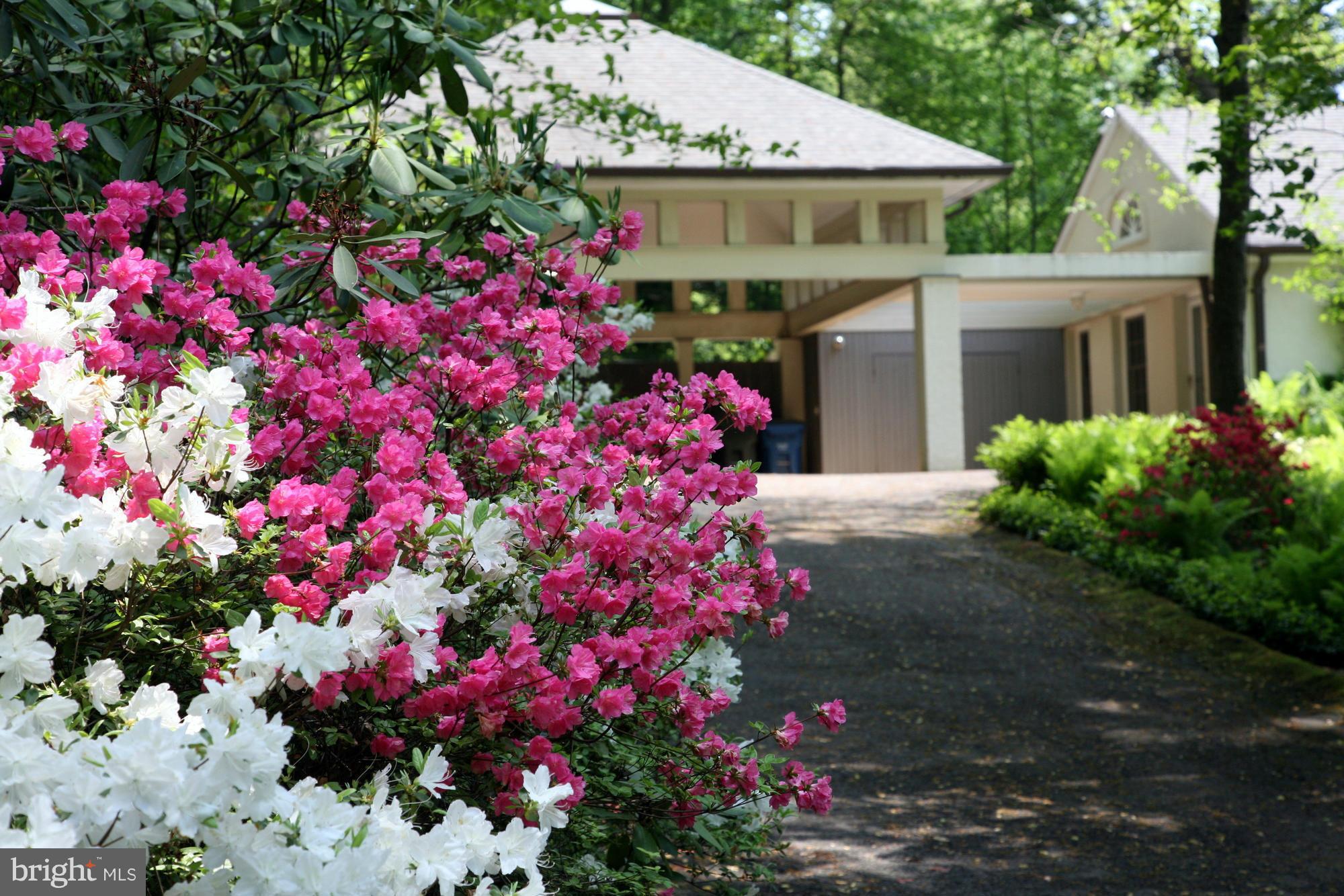 OLD GEORGETOWN ESTATES - Residential