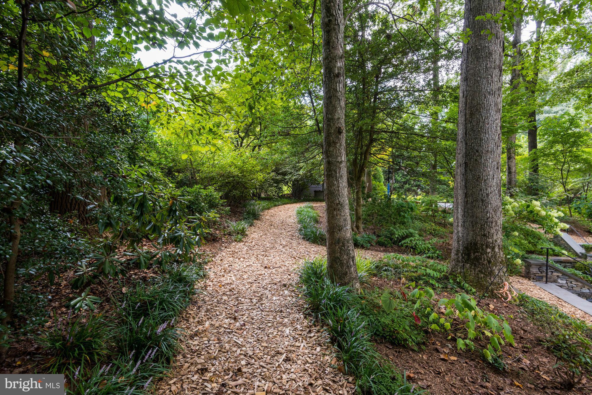 OLD GEORGETOWN ESTATES - Residential