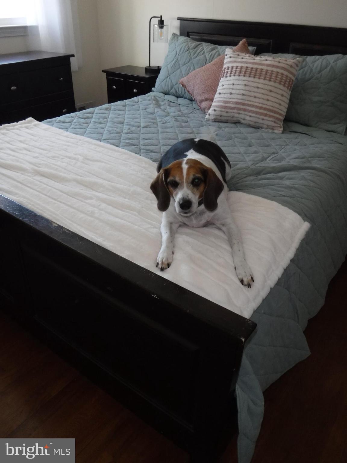 EASTFIELD - Residential