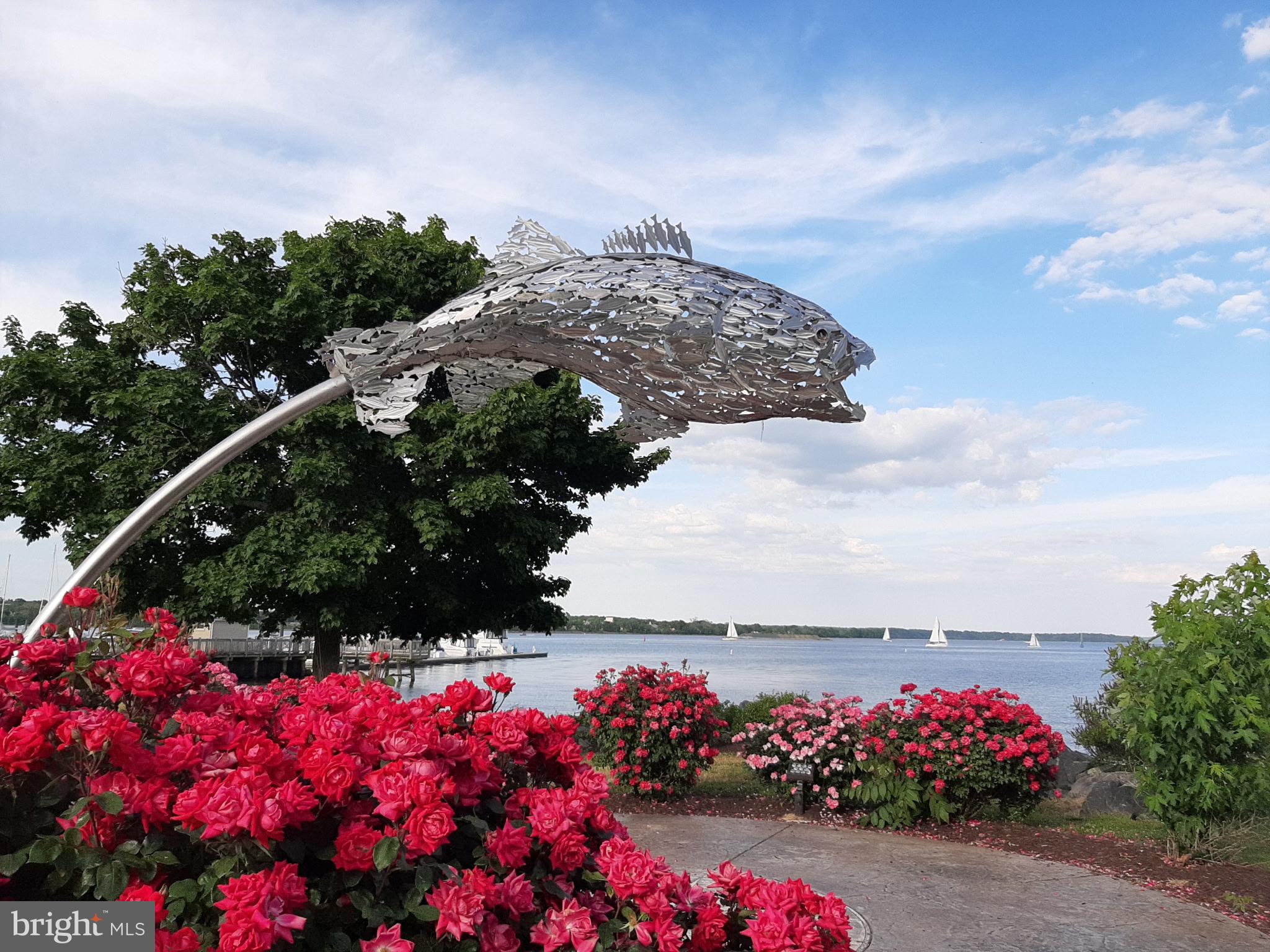 HISTORIC HAVRE DE GRACE - Residential