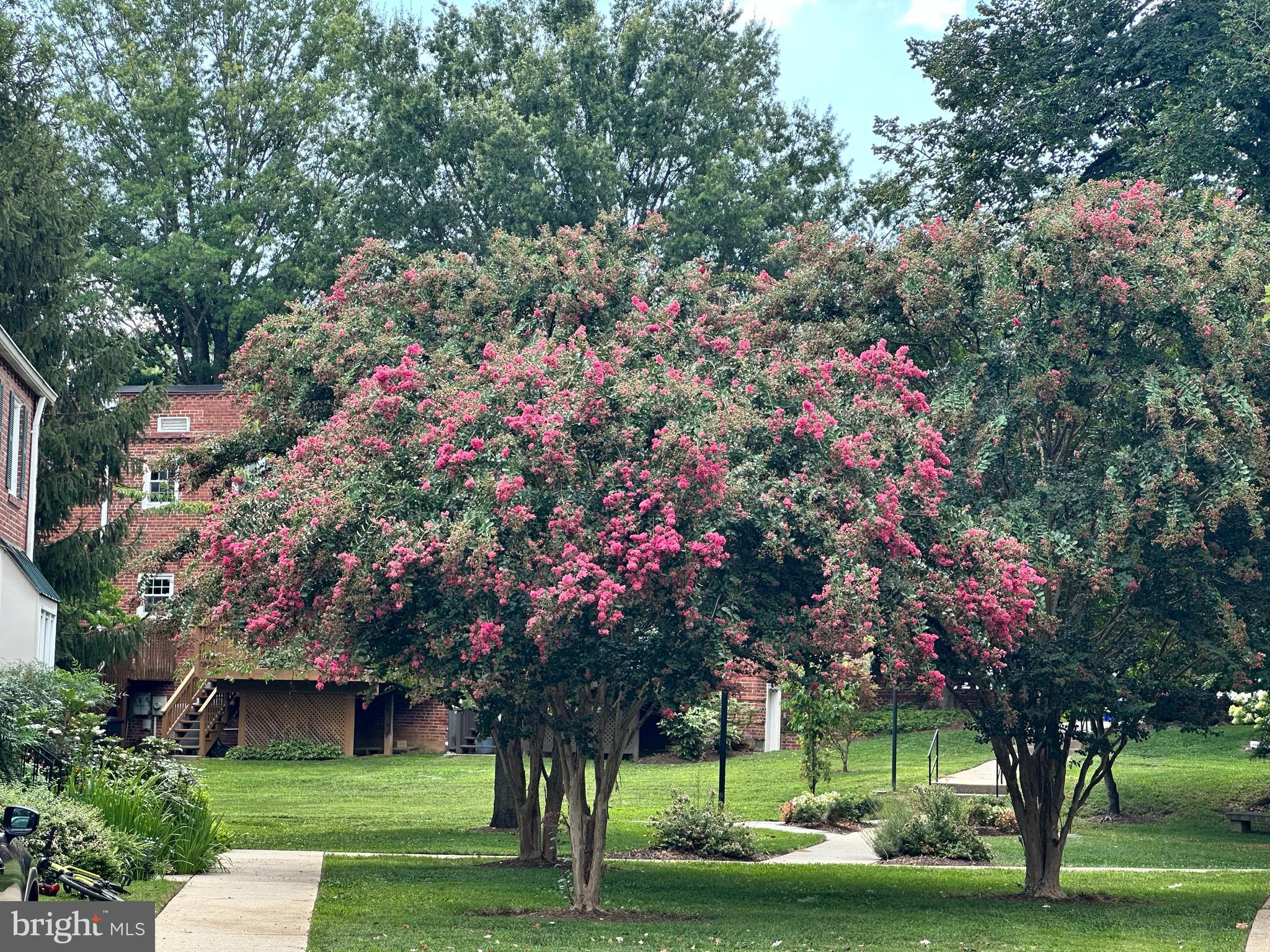 KENWOOD FOREST - Residential