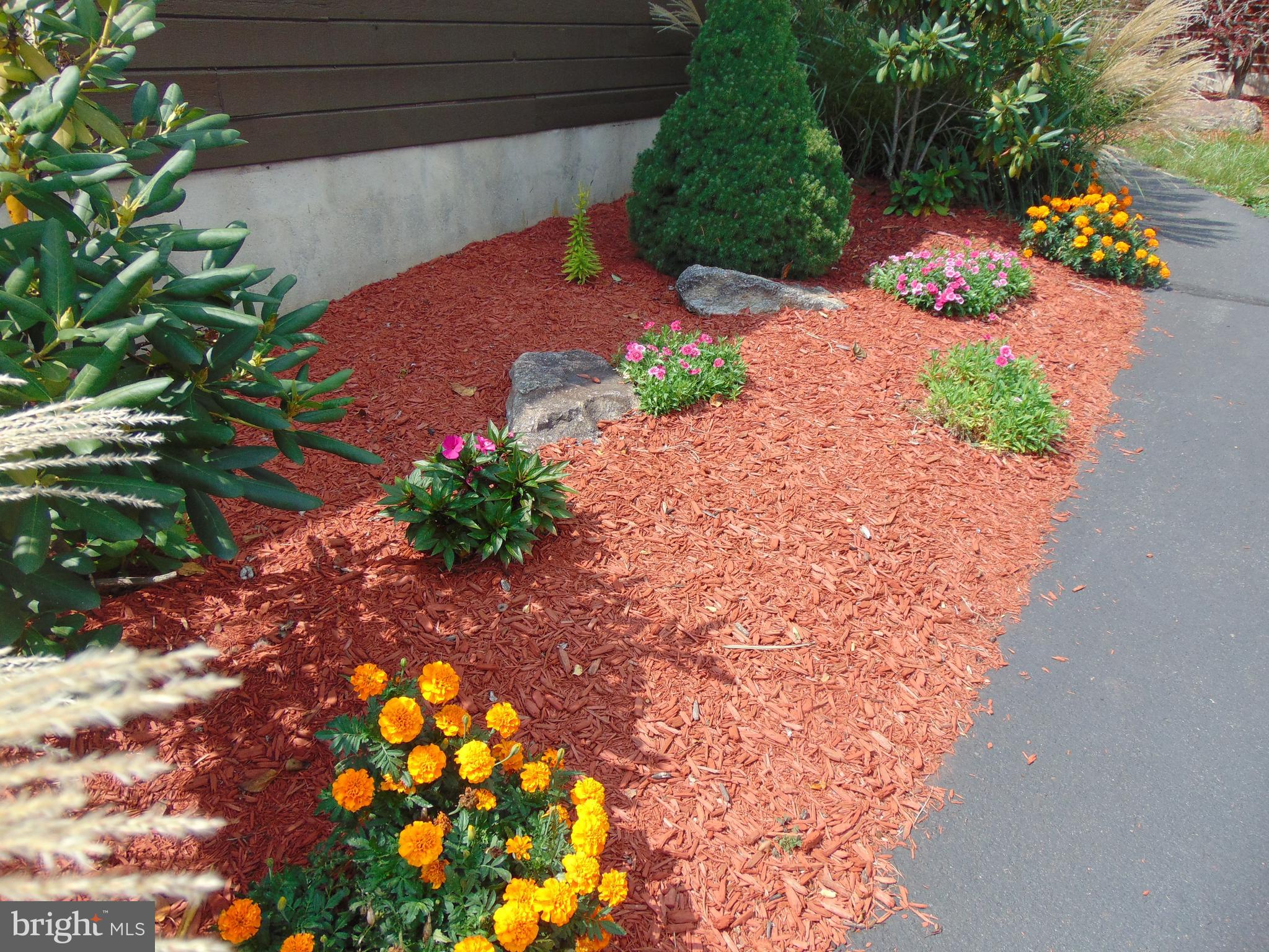 PINE BROOK - Residential